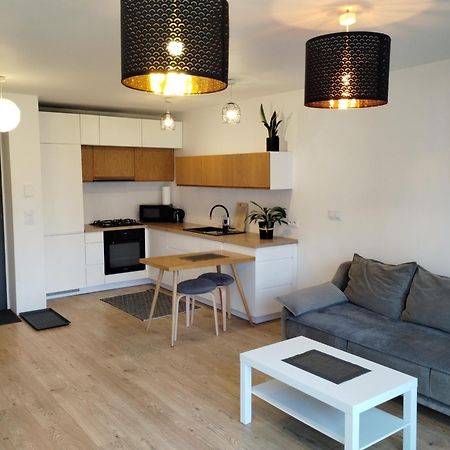 Studio Park Slaski M.10 Katowice/خوجوف المظهر الخارجي الصورة